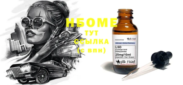 хмурый Бородино
