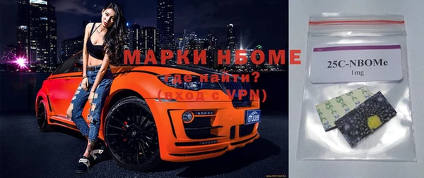 хмурый Бородино