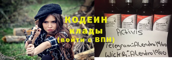 хмурый Бородино